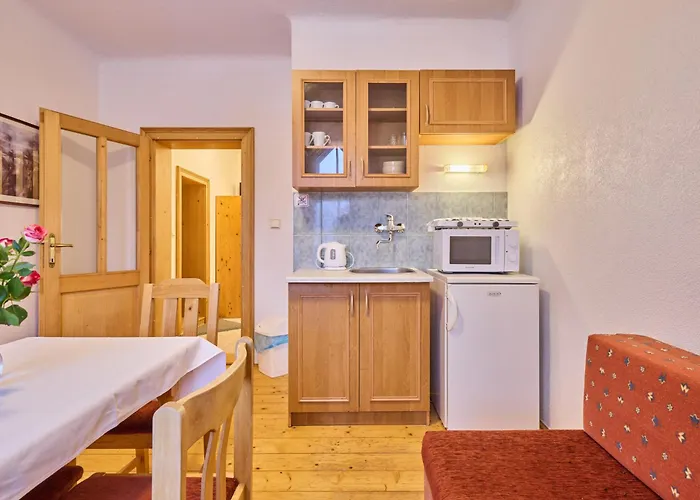 Appartement Stribrny Pramen-3 By Interhome Janské Lázně